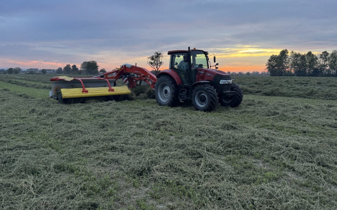 PROVE IN CAMPO RANGHINATORE POTTINGER MERGENTO VT 9220